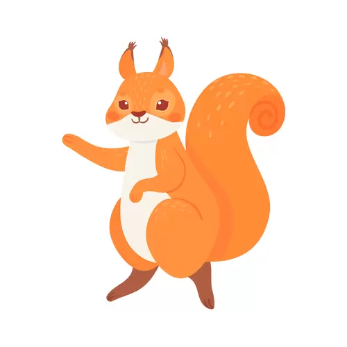 Squirrel Illustration Material