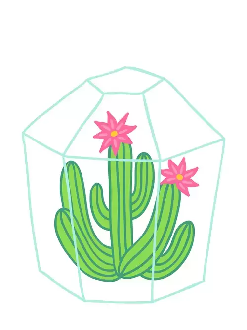 Succulents Illustration Material