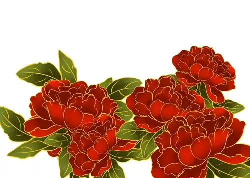 Red Peony Flower Illustration Material