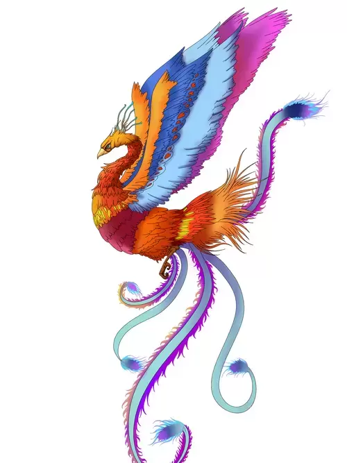 Chinese Phoenix Illustration Material