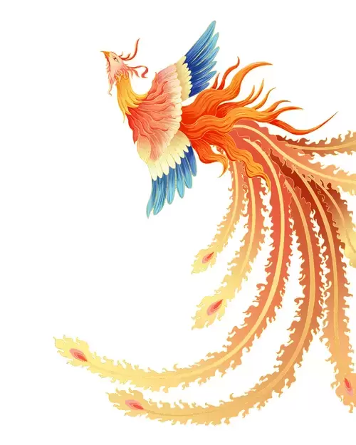 Chinese Phoenix Illustration Material