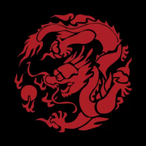 Dragon and Phoenix Pattern Illustration Material