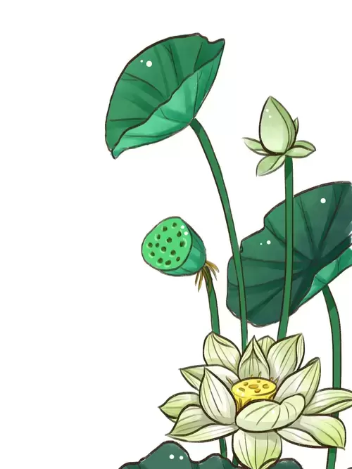 Yellow Lotus Illustration Material