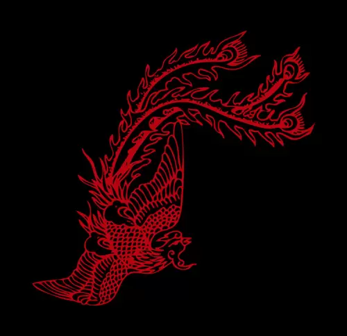 Dragon and Phoenix Pattern Illustration Material