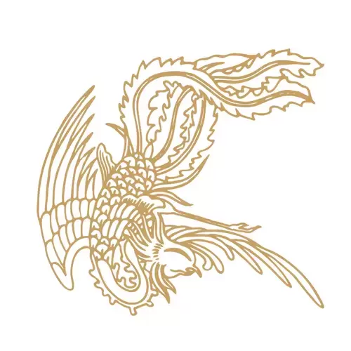 Pattern Dragon and Phoenix Illustration Material