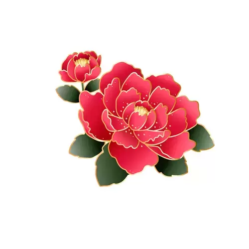 Red Peony Flower Illustration Material