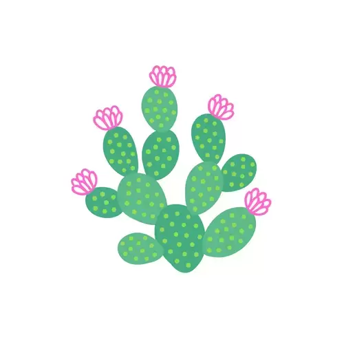 Succulents Illustration Material