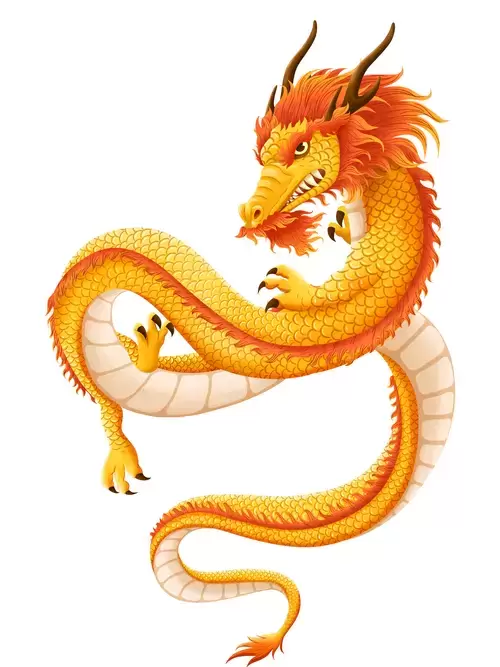 Chinese Dragon Illustration Material