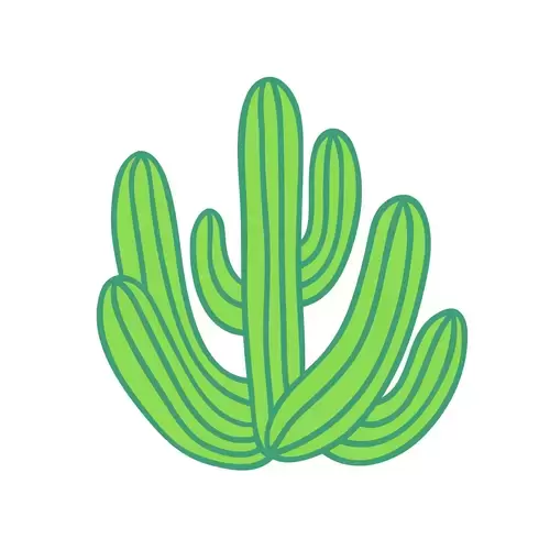 Succulents Illustration Material