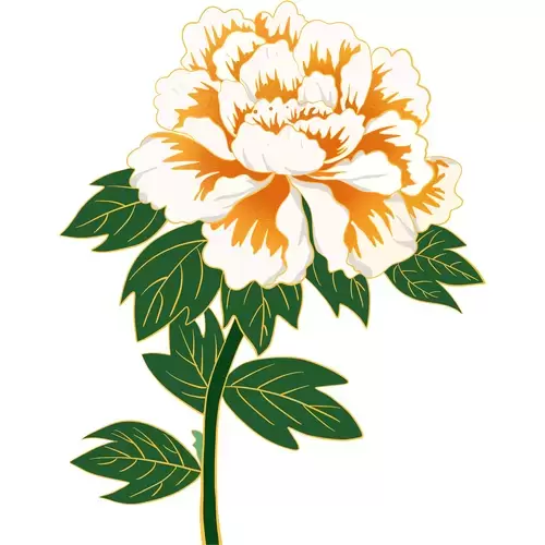 Peony Illustration Material