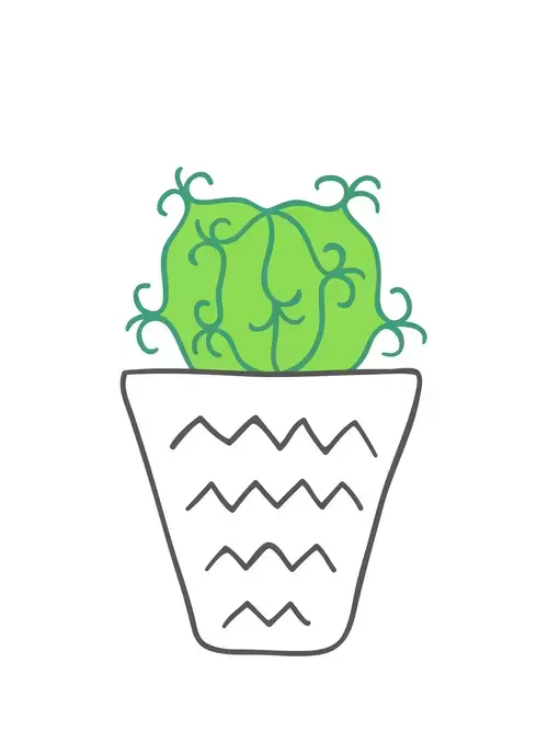 Succulents Illustration Material