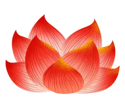 Red Lotus Illustration Material