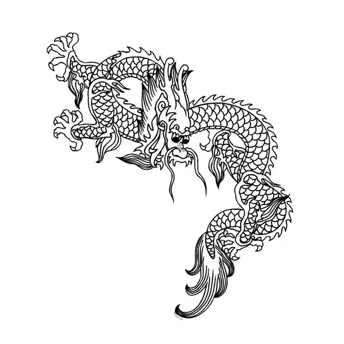 Pattern Dragon and Phoenix Illustration Material