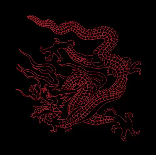 Dragon and Phoenix Pattern Illustration Material