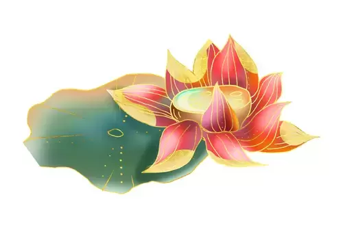 Lotus Illustration Material