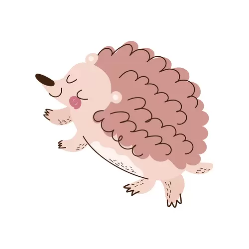 Cartoon Animals,Hedgehog Illustration Material