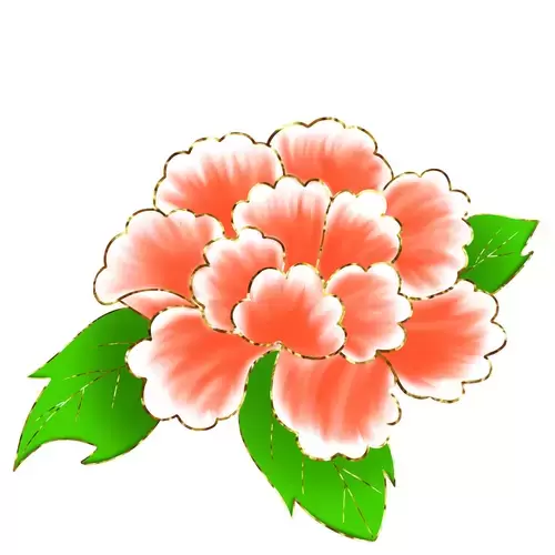 Peony Illustration Material