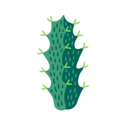 Succulents Illustration Material