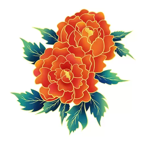 Red Peony Flower Illustration Material