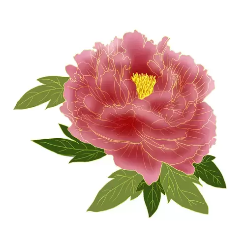 Purple Peony Flower Illustration Material