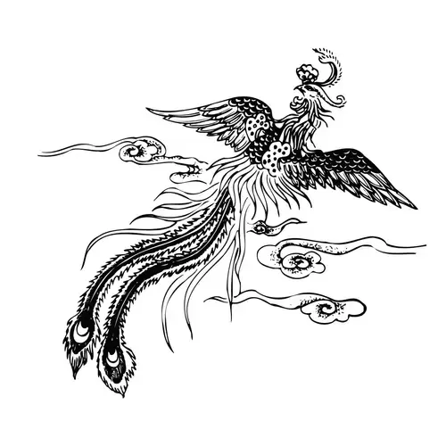 Pattern Dragon and Phoenix Illustration Material