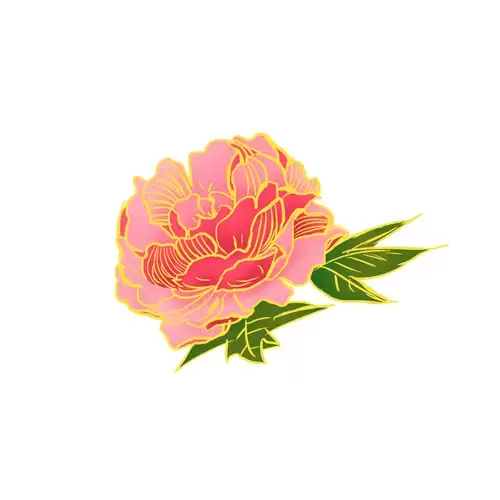 Peony Illustration Material