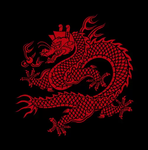 Dragon and Phoenix Pattern Illustration Material