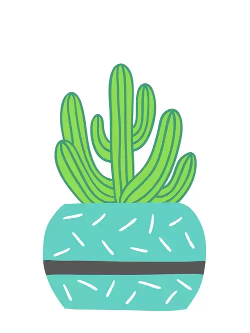 Succulents Illustration Material