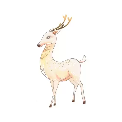 Deer Illustration Material