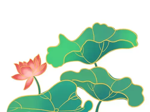 Lotus Illustration Material