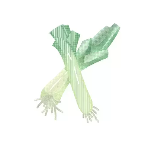 Vegetable,Green onion Illustration Material