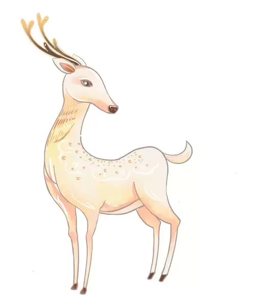 Deer Illustration Material