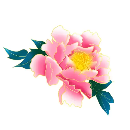 Pink peony Illustration Material