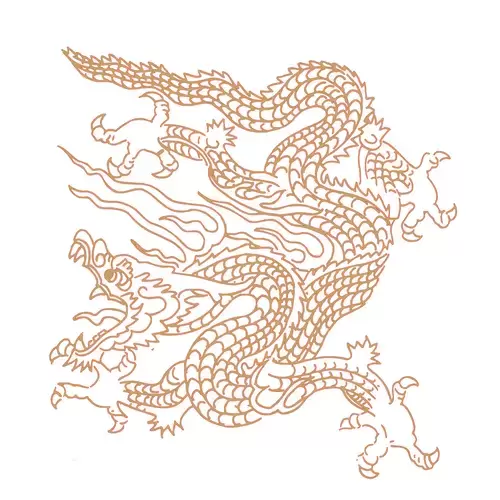 Pattern Dragon and Phoenix Illustration Material