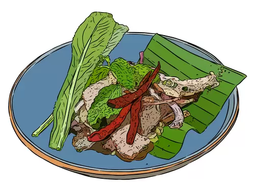 Thai food Illustration Material