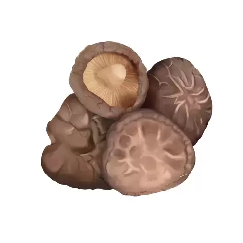 Vegetable,Mushroom Illustration Material