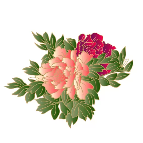 Peony Illustration Material