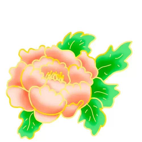 Peony Illustration Material