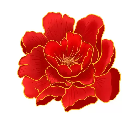 Red Peony Flower Illustration Material