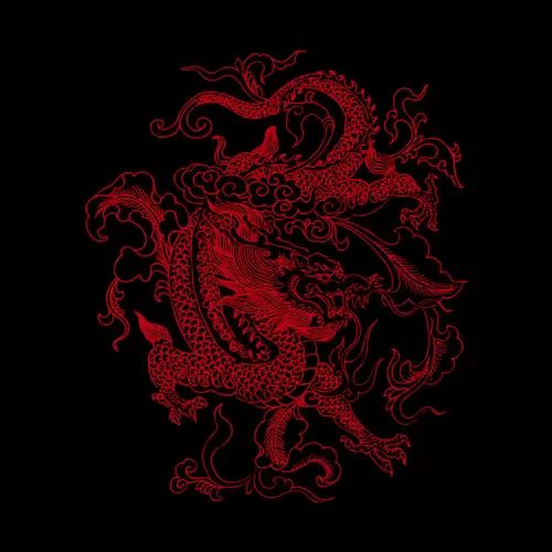 Dragon and Phoenix Pattern Illustration Material