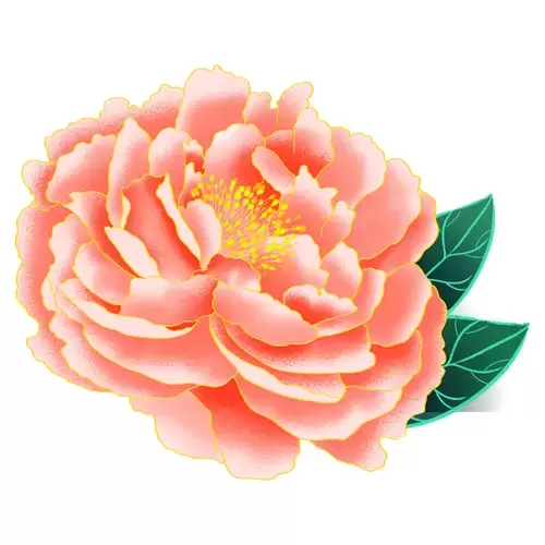 Peony Illustration Material