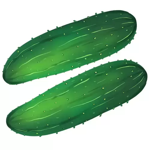 Vegetable,Cucumber Illustration Material