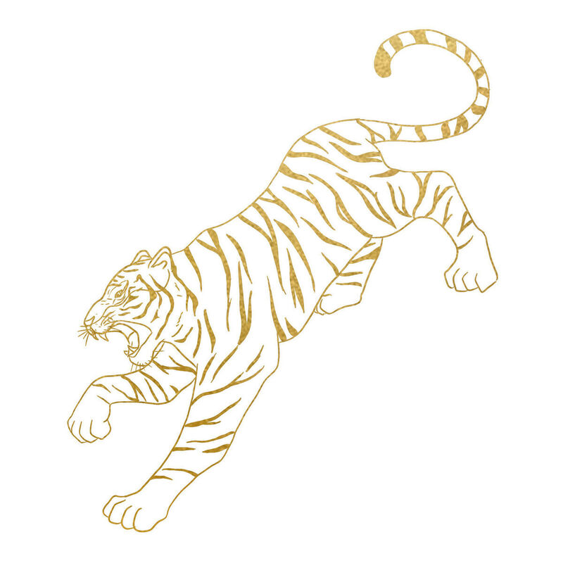 Year of the tiger Paper Cutting Illustration Vector