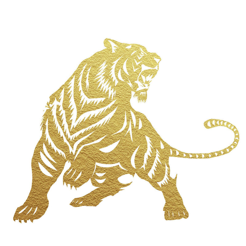 Year of the tiger Paper Cutting Illustration Vector